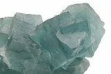 Cubic, Blue-Green Fluorite Crystal Cluster with Phantoms - China #217447-3